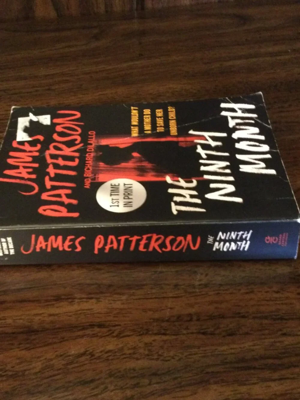 The Ninth Month - James Patterson & Richard DiLallo 1st Edition Print Paperback